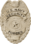 U.S. Navy Security