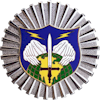 NORAD Command Badge