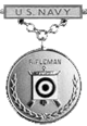 Navy Rifleman Excellence in Competition Badge (Silver)