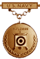 Navy Rifleman Excellence in Competition Badge (Bronze)