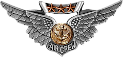 Combat Air Crew Wings with 3 Stars