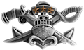 Naval Special Warfare Combatant Craft Crewman Master