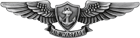 Enlisted Aviation Warfare Specialist Badge