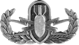 Navy Basic EOD Badge