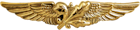 Naval Aviation Supply Corps Badge