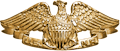 Naval Reserve Badge