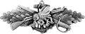 Seabee Combat Warfare Specialist Enlisted Badge