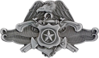 Security Forces Specialist (Master)