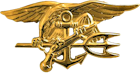 Special Warfare Officer Badge